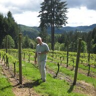 Bad Dog 55
