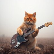 BassVienna