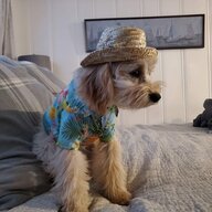 Slim Pickens