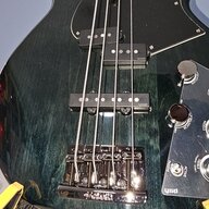 idigbass