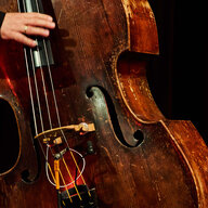 specialbass