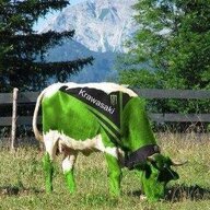KRAVASAKI