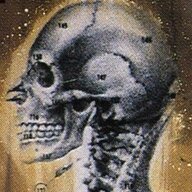 Human