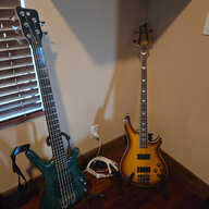 WarwickGrnBass