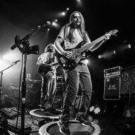 Gingerbass