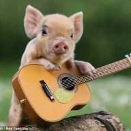 pipFunk