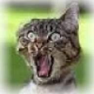 pabothecat