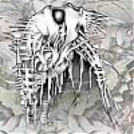Primate