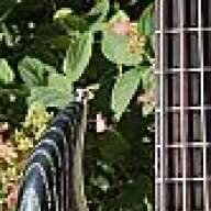 mberlin74