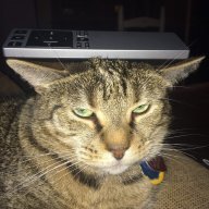 maximus