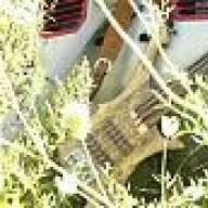 FretlessArt