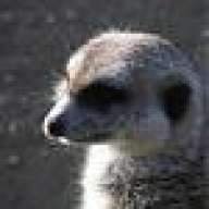 tanslacks