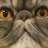 meowmeow