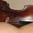 bassiszen