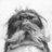 grizzlebeard