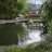 dalegreen