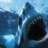 SharkB8
