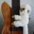 SixBass