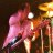 JOEBORGESMUSIC
