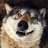 Thunderwolf