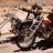 easyrider
