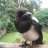 Andy Duckering