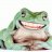 CheshireFrog