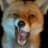 foxadn