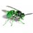 BonehouseWasps