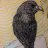 giotariseal0812