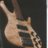 dnbass