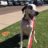 louie_b