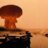 Atomic Highway