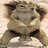 Mercalli5