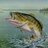 slapbass07