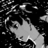 makoto