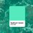 seafoamgreenjb