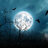 Manic Moonlight