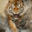 RampantTiger