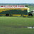 bus_gator
