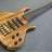 Paleobass