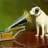 Nipper