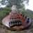 bassplayercyp