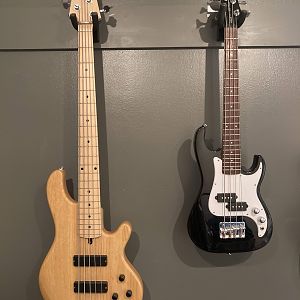 My basses