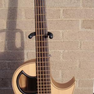 Warwick Alien 5