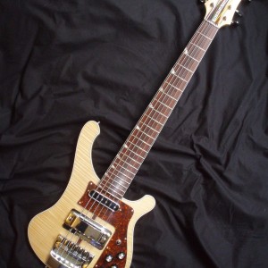 Bassurgery 6-string