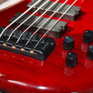 Media 'Spector' in category 'Bass Guitars'