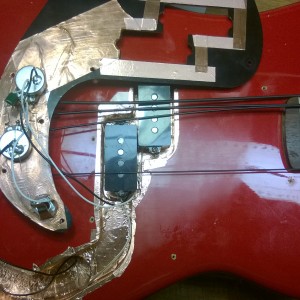 Squier Shield