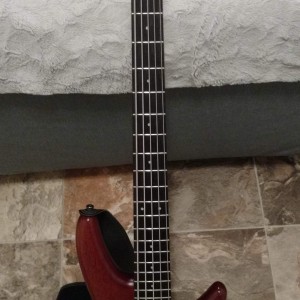 SR485