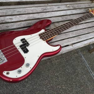 nate mendel p